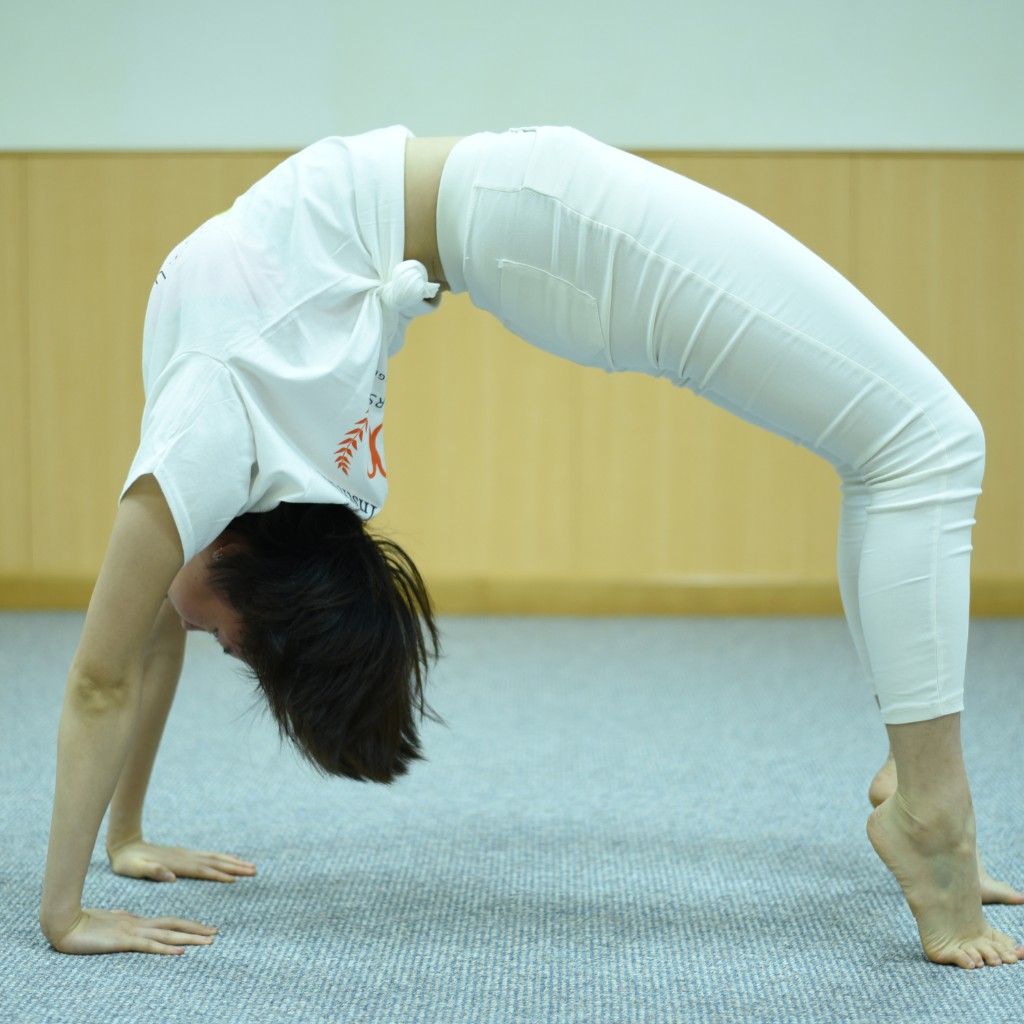 Energise yoga — dynamic wheel pose